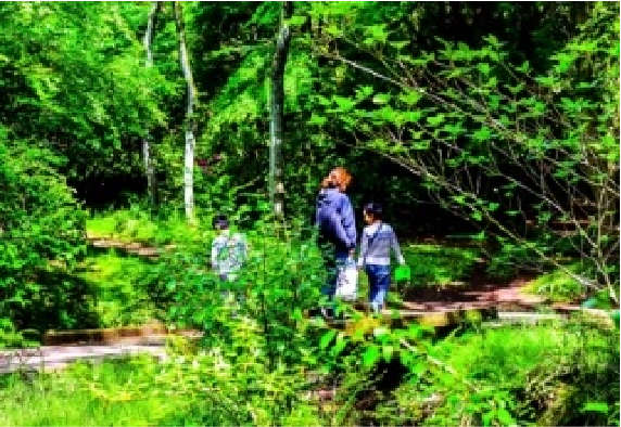 徳島の自然 休暇