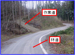 林道と作業道の状況