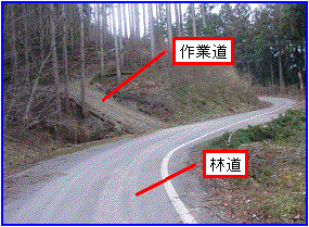 林道と作業道の状況