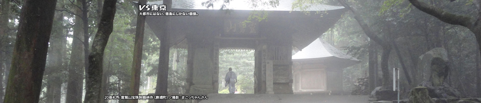 VS東京 大都市にはない、徳島にしかない価値。20番札所 霊鷲山宝珠院鶴林寺(勝浦町) 撮影 まこっちゃんさん