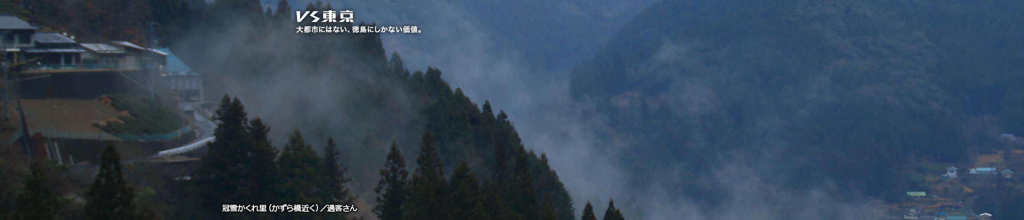 VS東京 大都市にはない、徳島にしかない価値。冠雪かくれ里(かずら橋近く) 撮影 過客さん