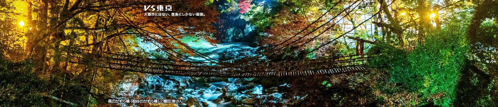 VS東京 大都市にはない、徳島にしかない価値。夜のかずら橋(祖谷のかずら橋) 撮影 植田 敦さん