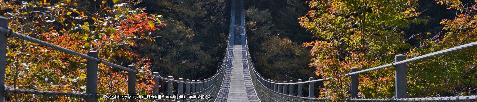 吸い込まれそうなつり橋（三好市東祖谷 龍宮崖公園）撮影 宇野 安記さん