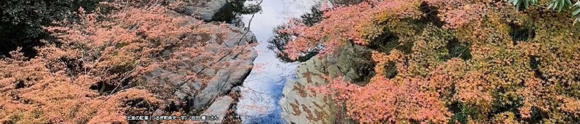土釜の紅葉（つるぎ町貞光一宇）撮影 住田 優二さん