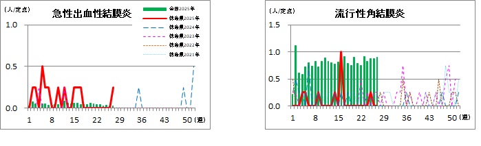 眼科定点27w