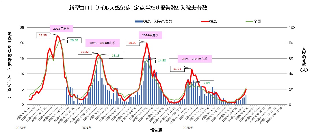 コロナ定点31w
