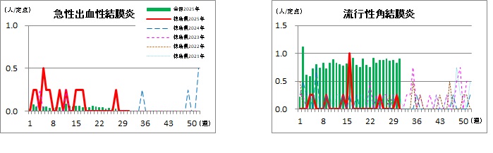 眼科定点31w