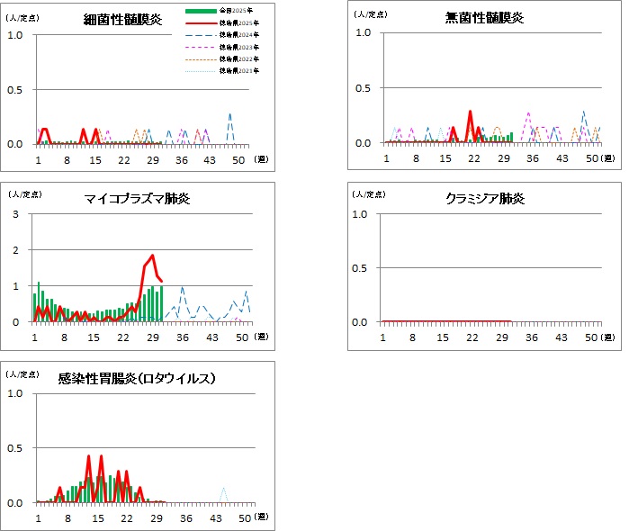 基幹定点31w