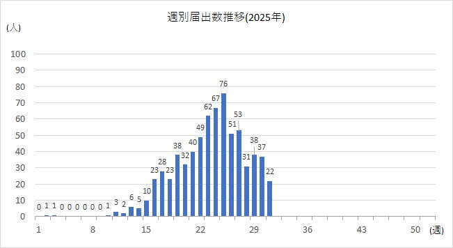 週別31w