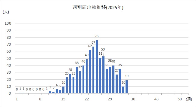 週別34w