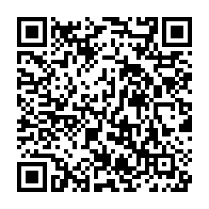 申込フォーム(別ウィンドウで開く)