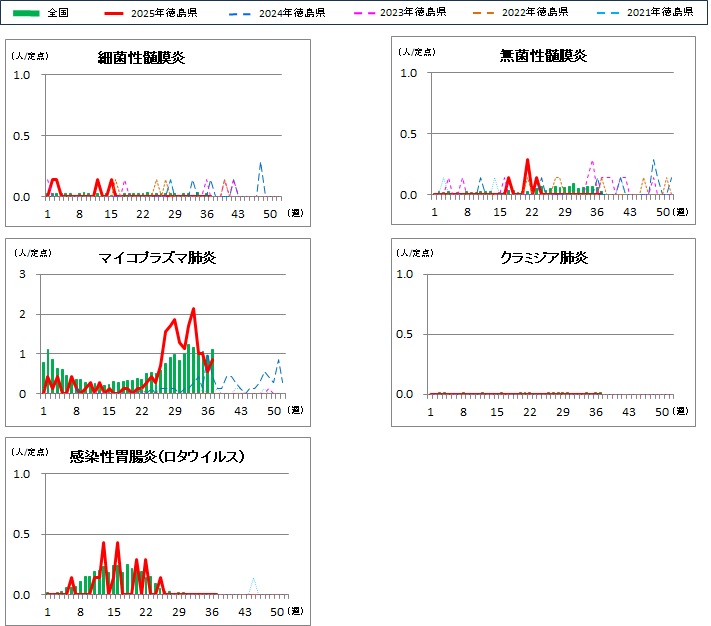 基幹定点37w