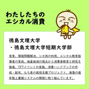 食育、環境問題解決
