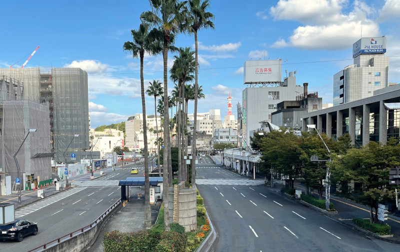 新町橋通りを阿波おどり会館側から写した写真。片側3車線の車道があり、中央分離帯にはワシントンヤシモドキが植わっている。