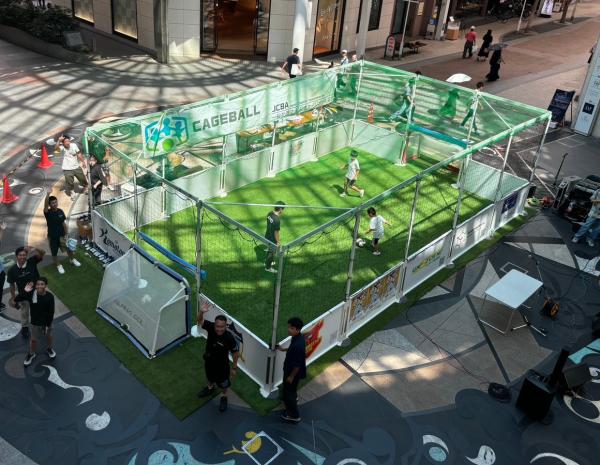 カゴの中でボールゲームをプレイしている様子