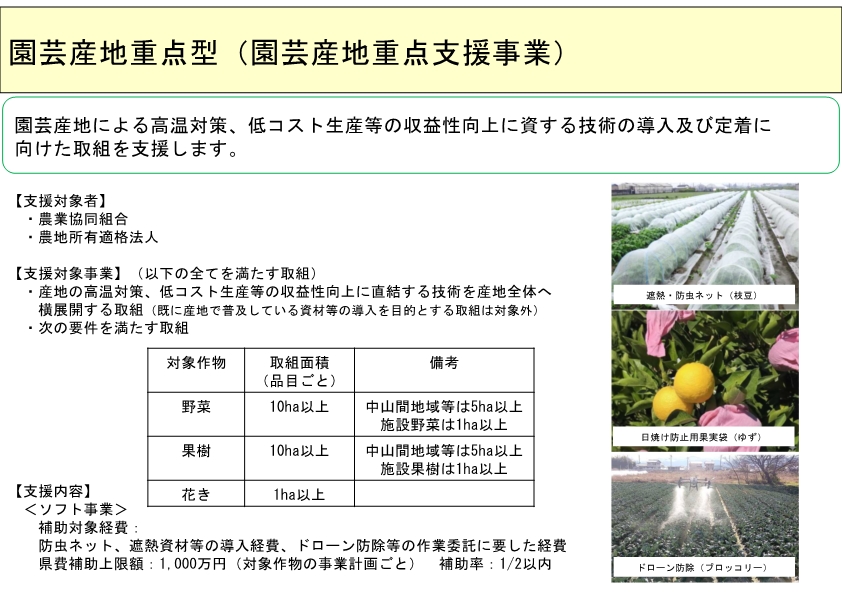 園芸産地重点支援事業の概要