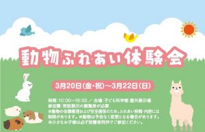 動物ふれあい体験会