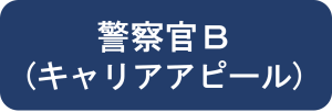警察官B（キャリアアピール）