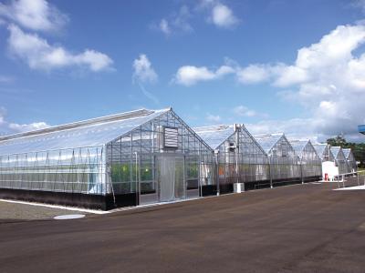 ハウス_はーとふる川内