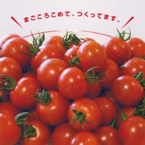トマト_はーとふる川内