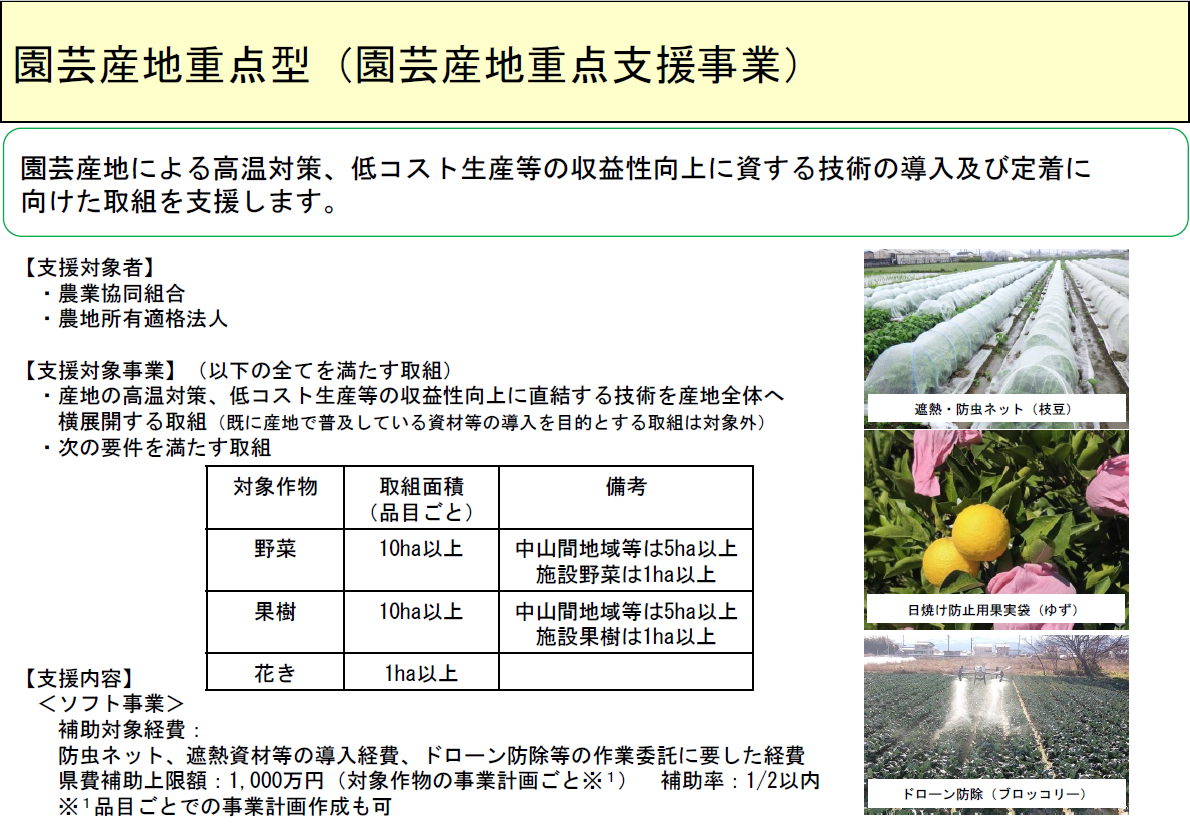 園芸産地重点支援事業の概要