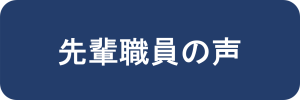 先輩職員の声