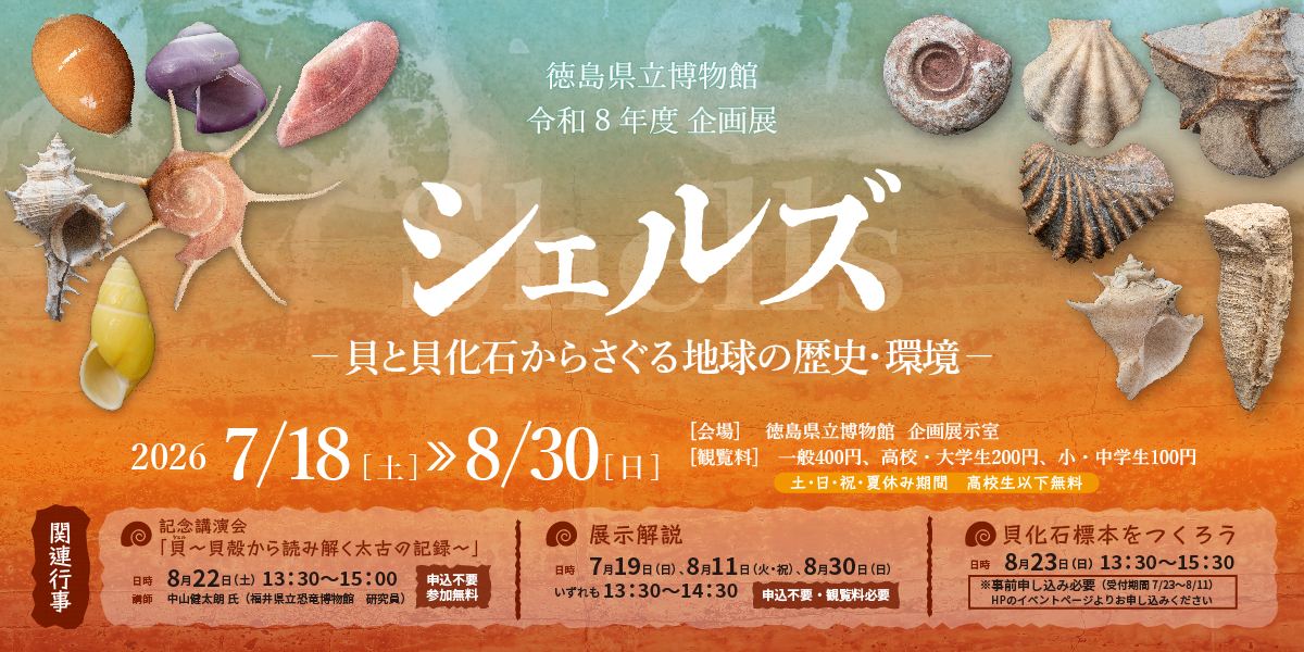 シェルズ ー 貝と貝化石からさぐる地球の歴史・環境 ー
(外部サイト,別ウィンドウで開く)