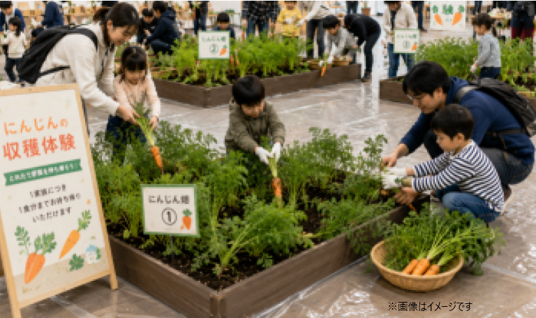 野菜収穫体験イメージ画像
