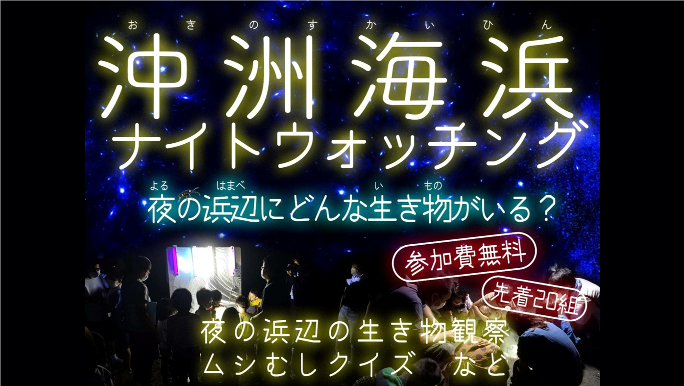 沖洲海浜ナイトウォッチング