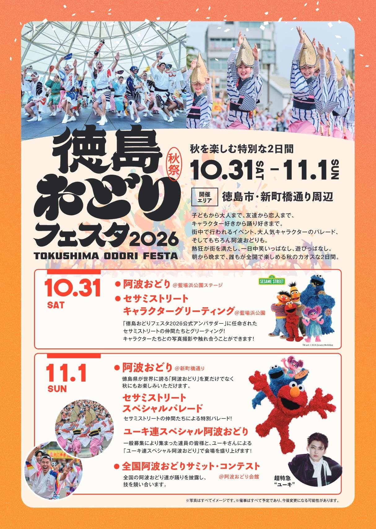 チラシ裏面