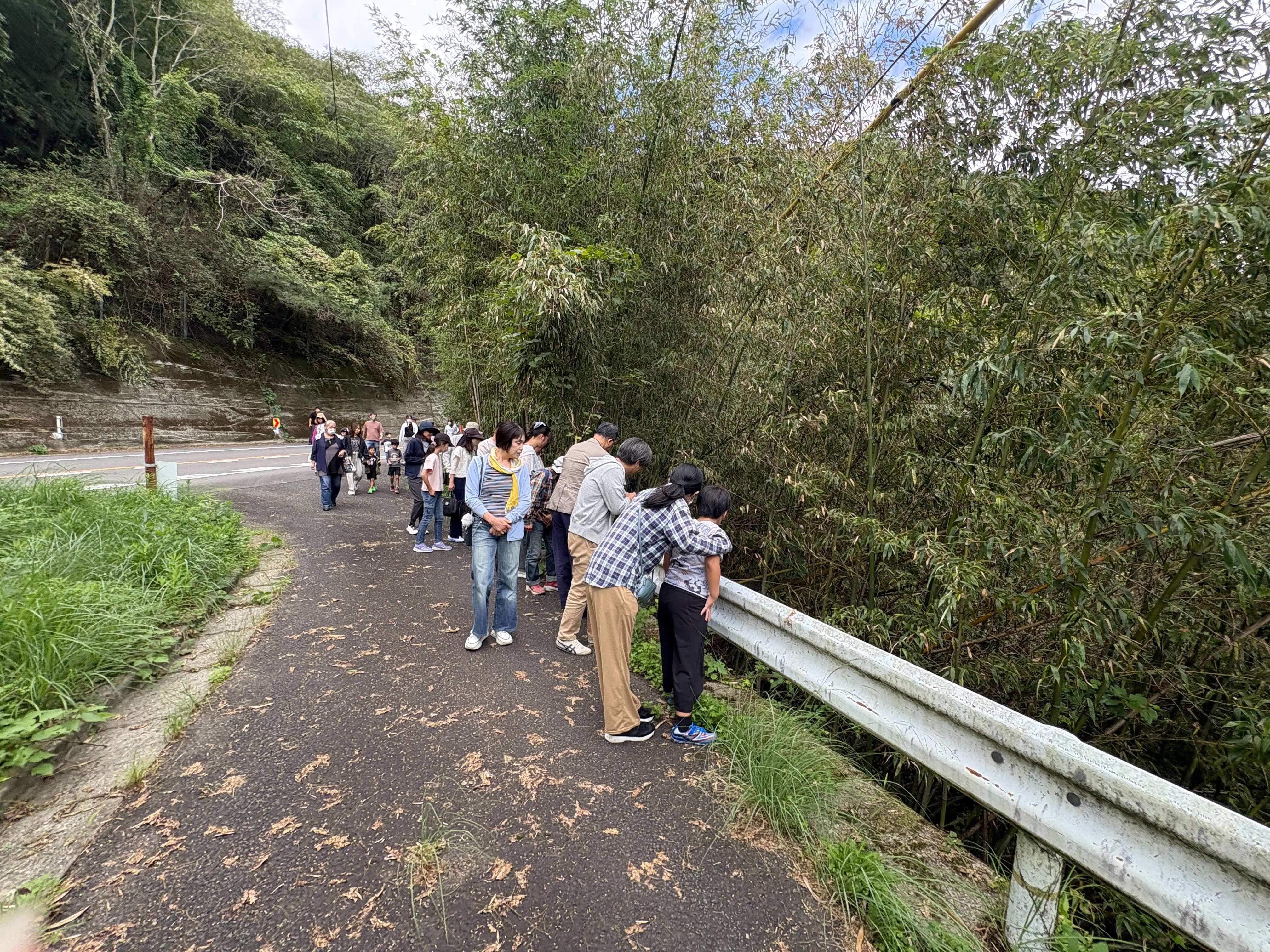 不法投棄現場
