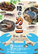 陸のカニ(外部サイト,別ウィンドウで開く)