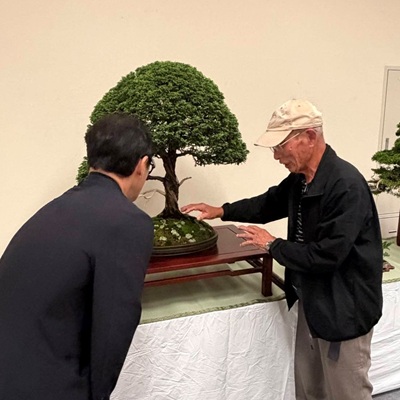 第10回一般社団法人日本盆栽協会徳島県支部 秋の盆栽展示会の画像02