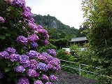 慈眼寺
