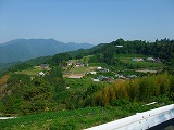 初夏の中山間集落