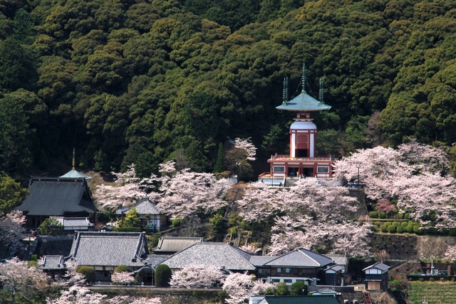 薬王寺の写真