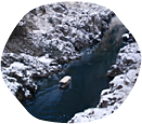 Gorges in winter