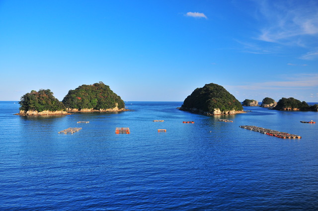 水床湾の写真