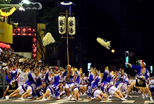 Ein Laternenhalter beim Awa Odori-Tanz