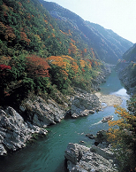 Autumn leaves and downstream boat trips