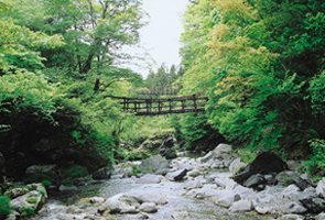 奥祖谷二重かずら橋（おくいやにじゅうかずらばし）