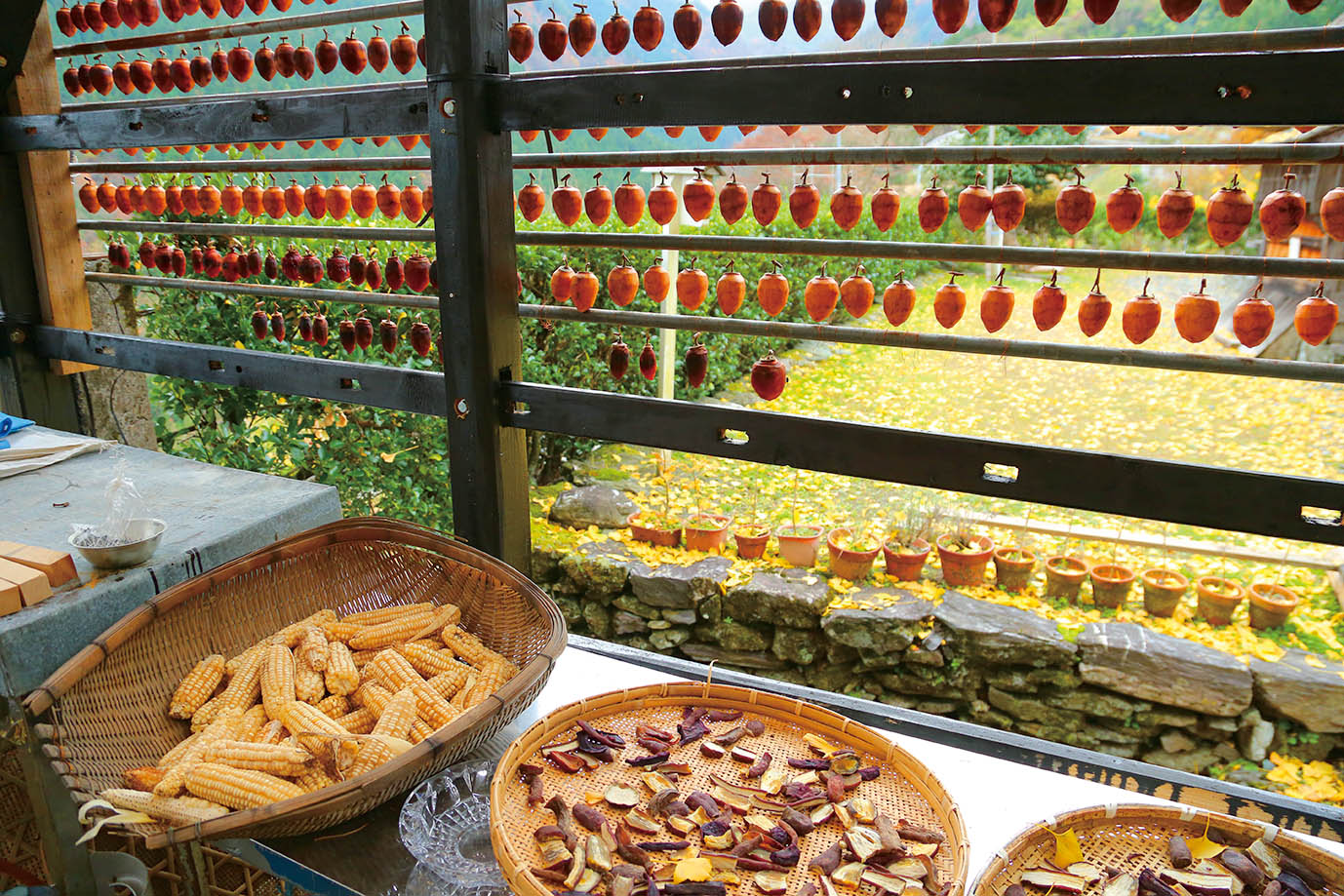 Dried persimmons and glutinous millets