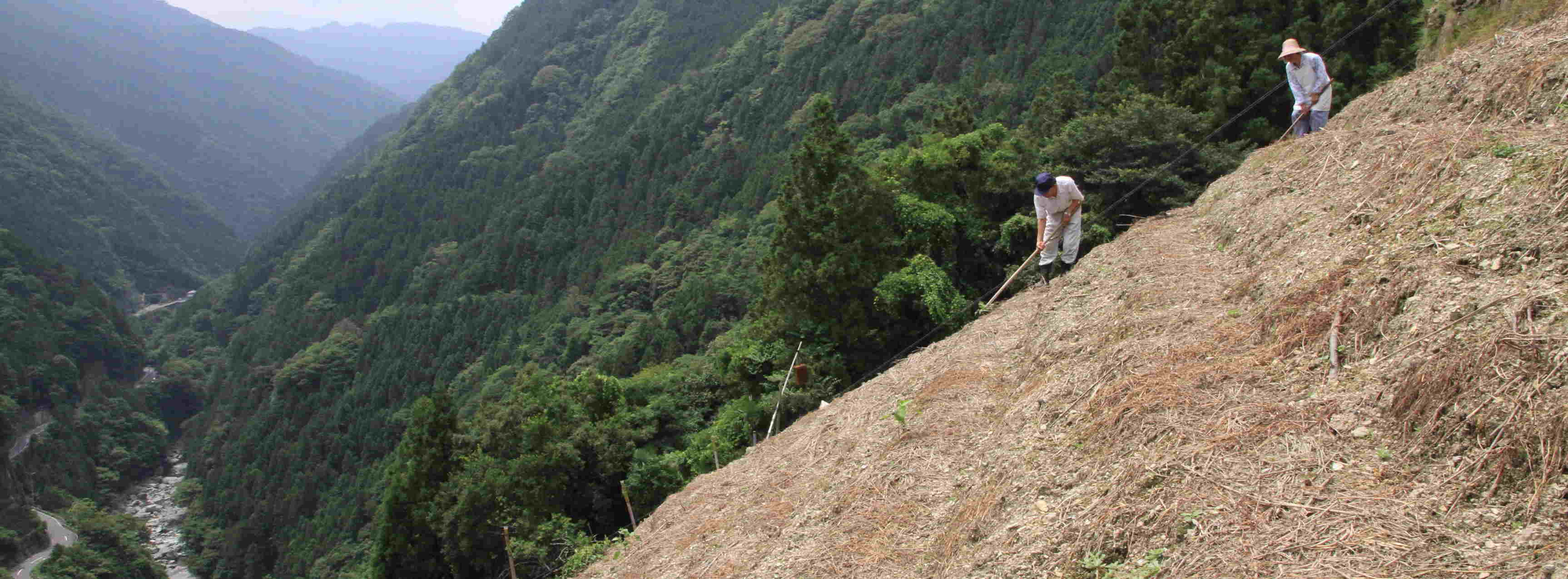 Steep Slope Land Farming