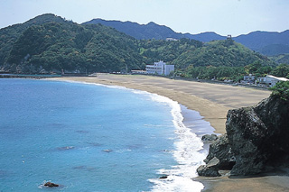 大浜海岸の写真