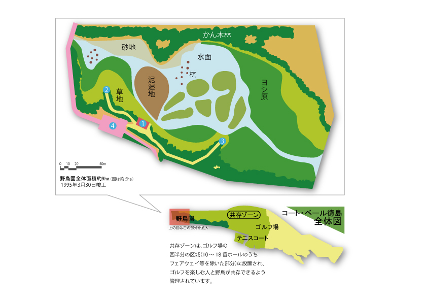 出島野鳥公園は，野鳥園，多目的広場，テニスコートで構成されています。