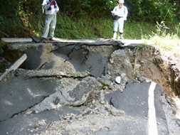 平成30年7月豪雨（被災状況調査）.bmp