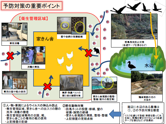 発生予防対策の重要ポイント2