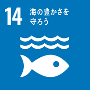 sdg_icon