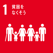 sdg_icon