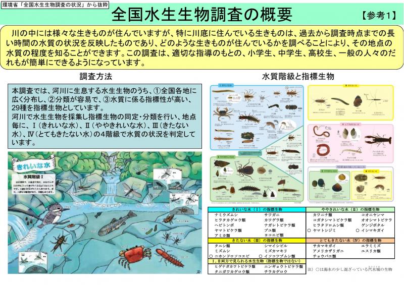 調査の概要や，指標生物の例を示した画像です。